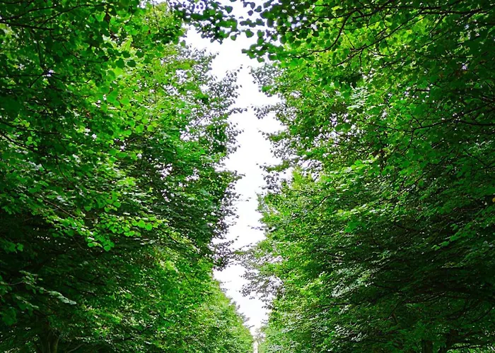 Pansiyon Kilmainham Homestay, Large Double Dublin